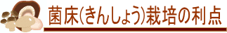 菌床(きんしょう)栽培の利点