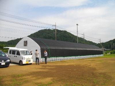 しいたけ菌床栽培ハウス概観2