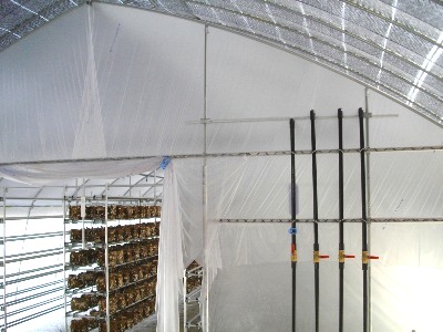 椎茸菌床栽培散水