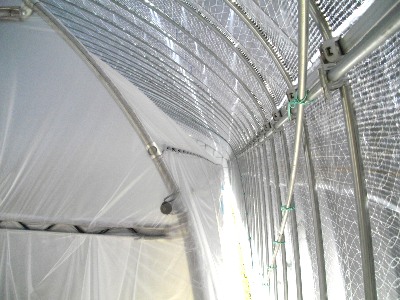 椎茸菌床栽培ハウス2重構造