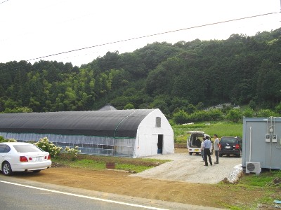 椎茸栽培ハウス概観