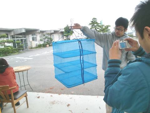 干し椎茸用のネット