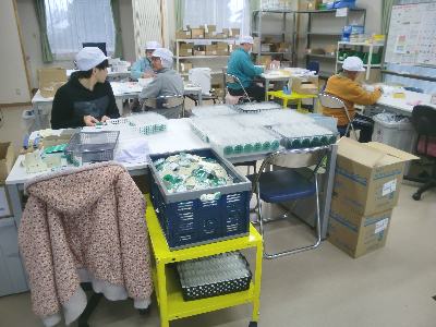 作業風景がんばれ!