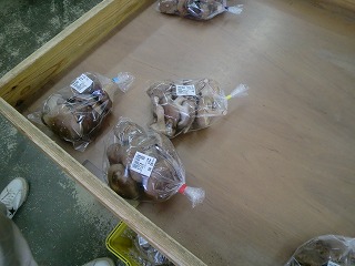 直売所椎茸売れる売れる!