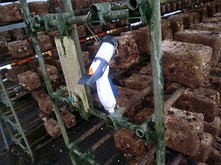 椎茸栽培ハウス内の散水用ノズル
