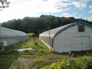 椎茸栽培ハウス2棟